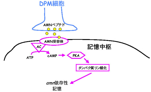pict20051126115147