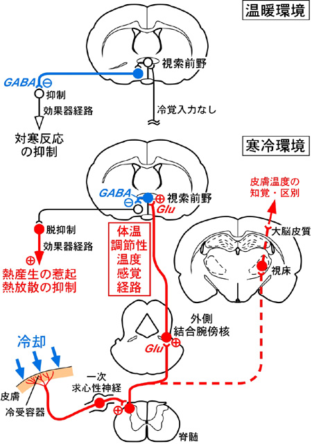 pict20080116160452