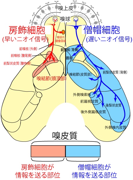 fig10