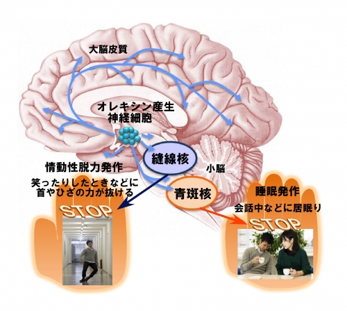 pict20140225112035