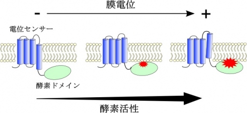 pict20140624163050