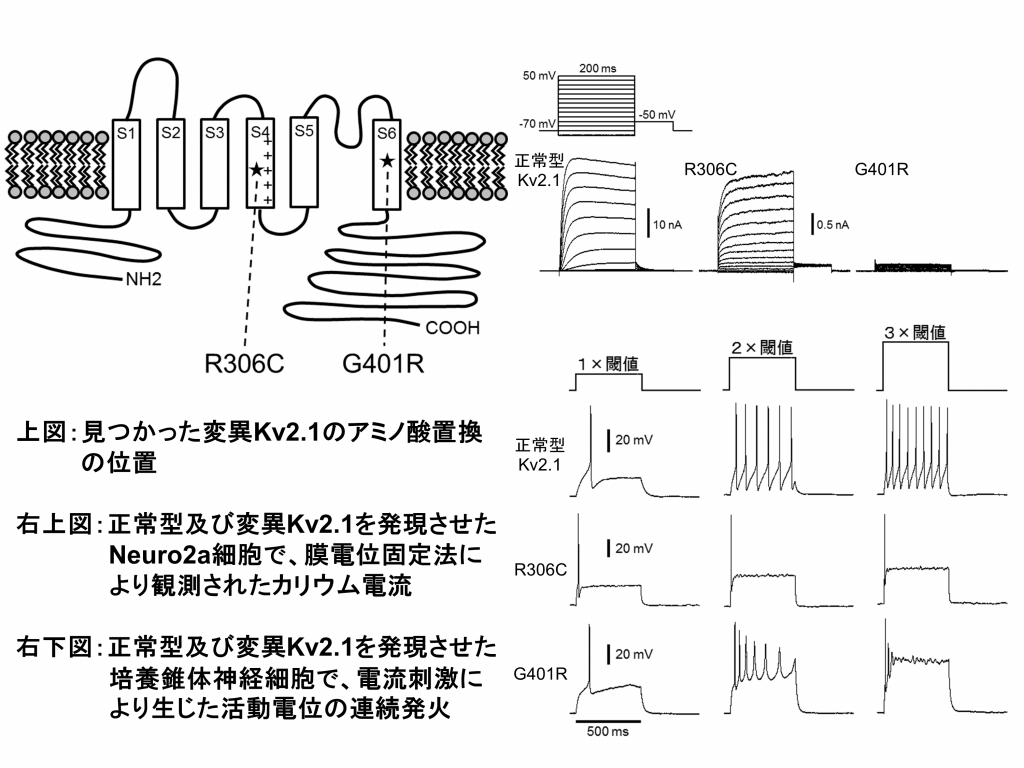 101.サイエンストッピクス