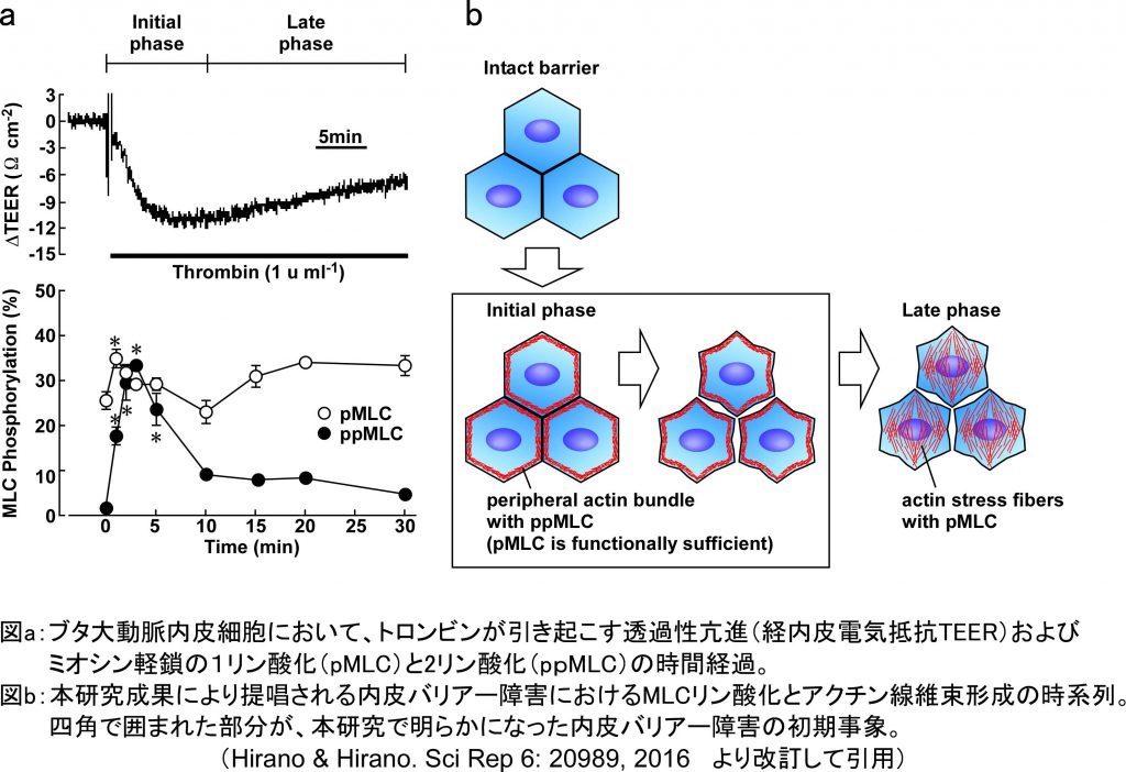 日生誌ScienceTopics・日本語版