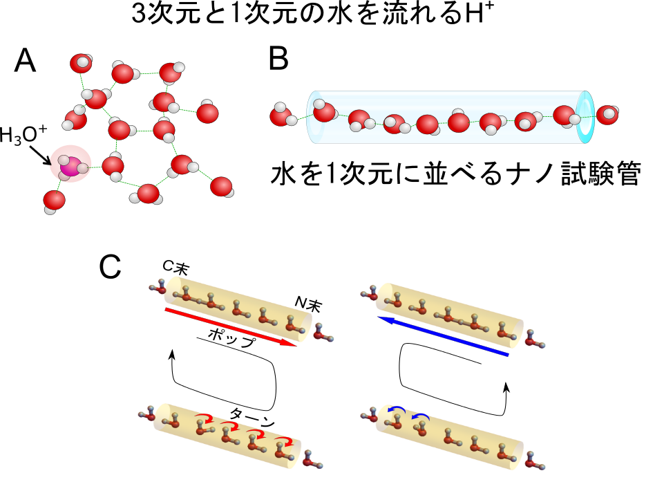3次元vs1次元水
