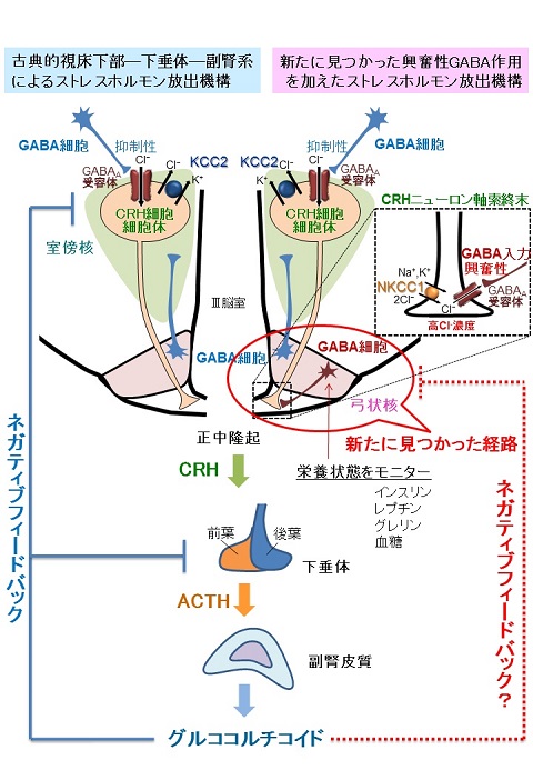 サイエンストピックス図