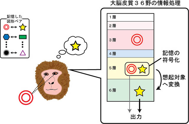 図1