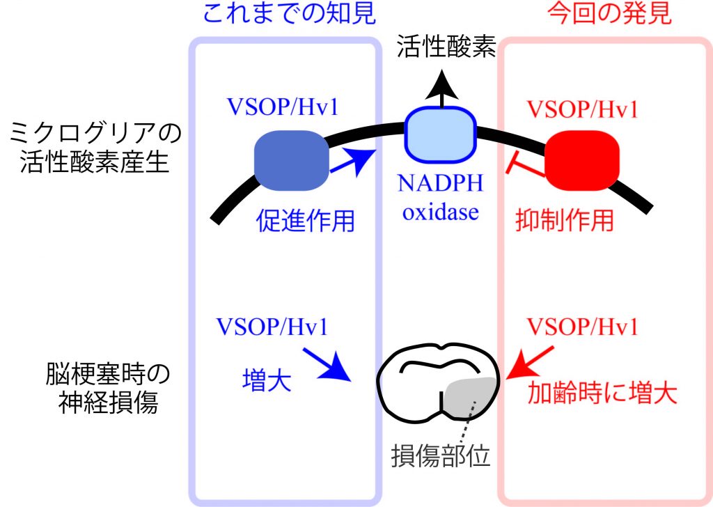 河合喬文図