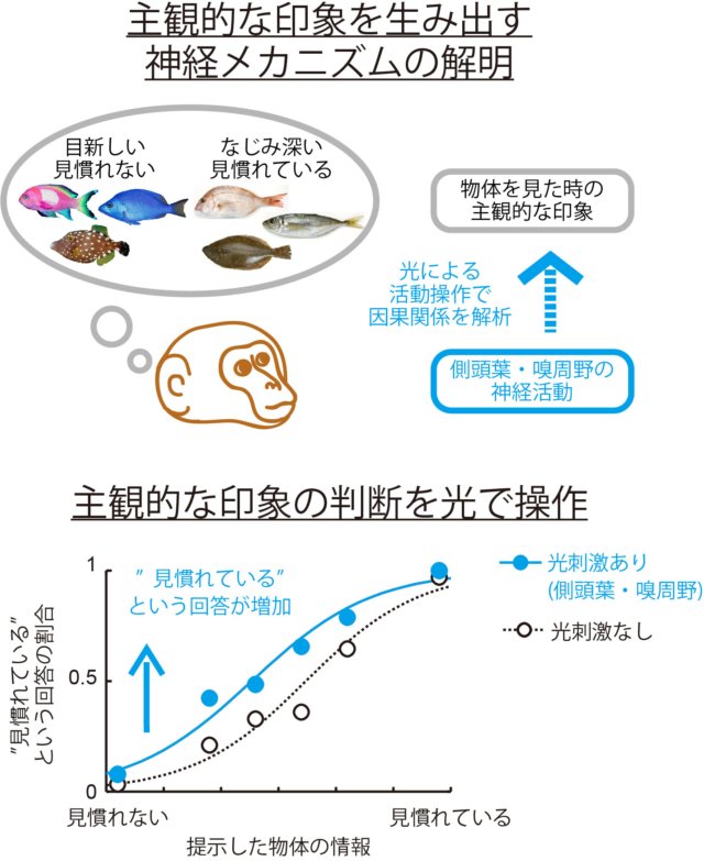 図_日本語_KT171030
