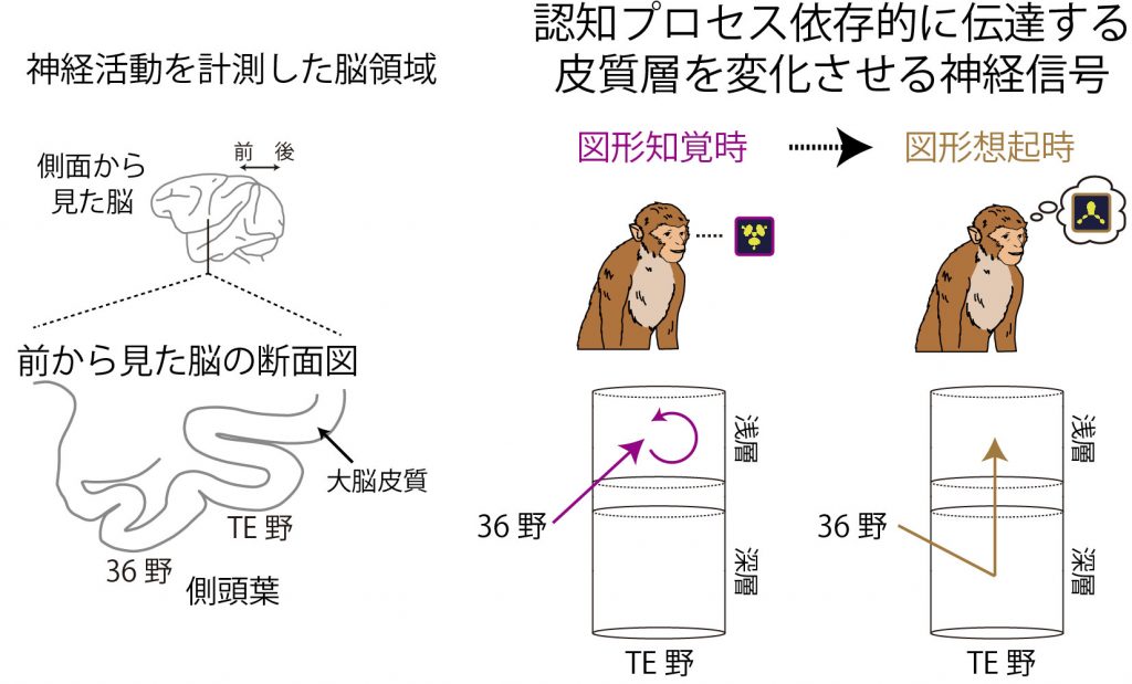 図1