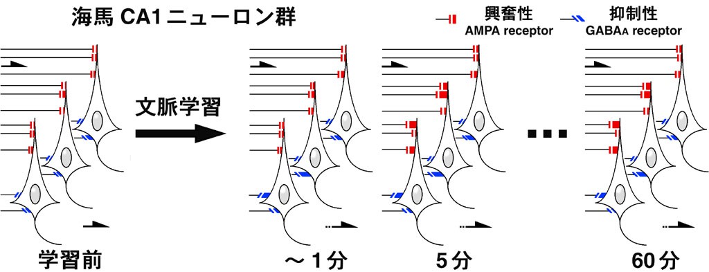 SciTopics2020日